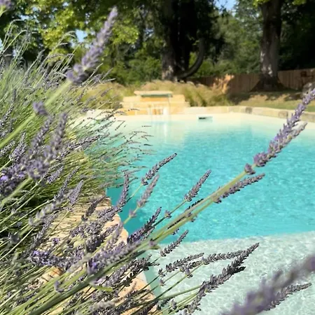 Maison Lou Piade Your Luxury Farm & Confidential Place To In Resort *